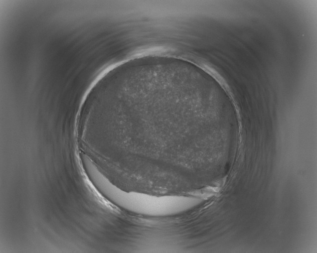 X0000080691392200701051049