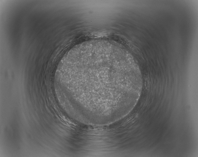 X0000080691393200701051048