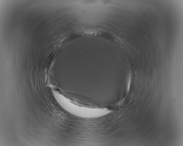 X0000080691394200701051048