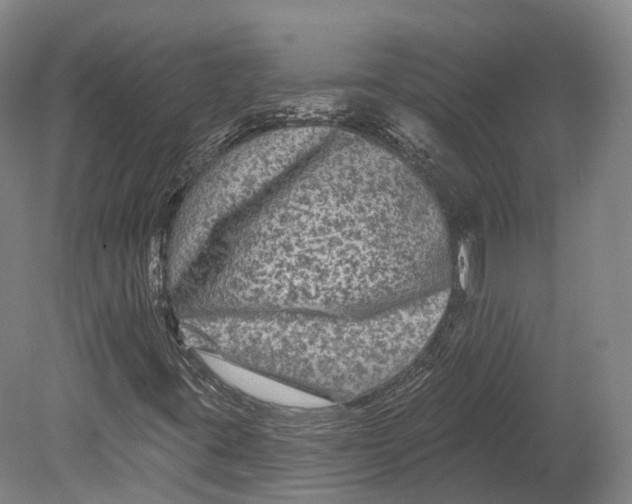 X0000080691395200701051048