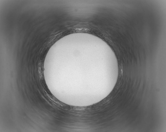 X0000080691396200701051048