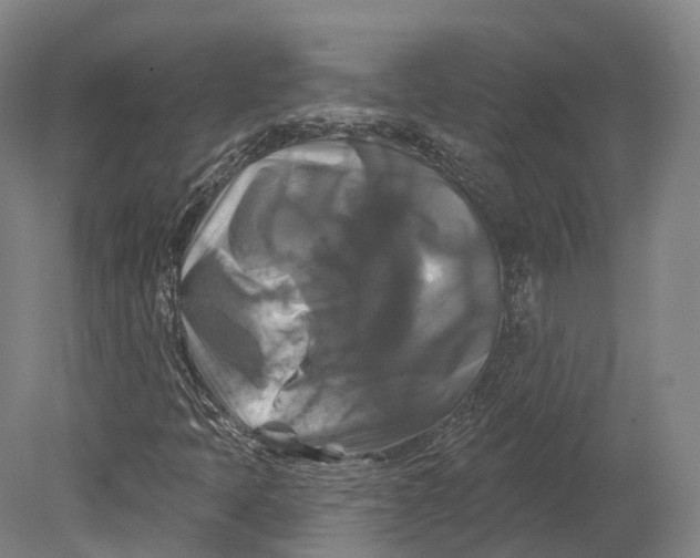 X0000080691397200701051048