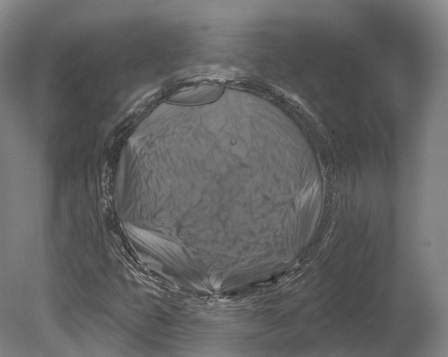 X0000080691399200701051048