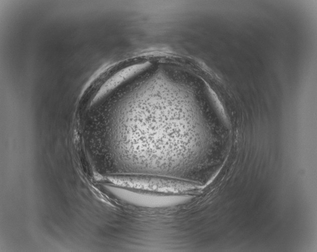 X0000080691400200701051048