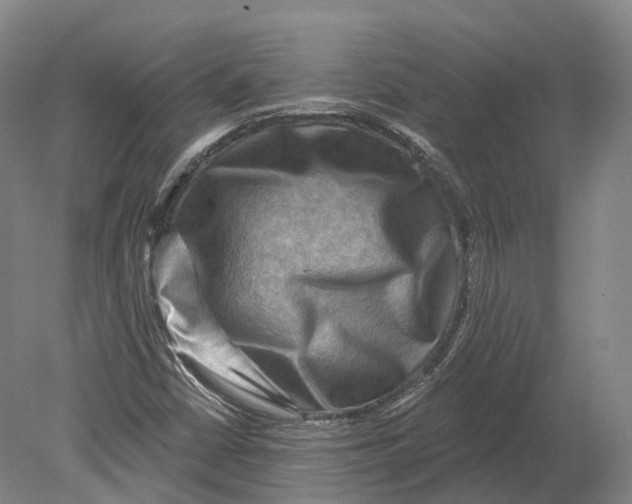 X0000080691402200701051048