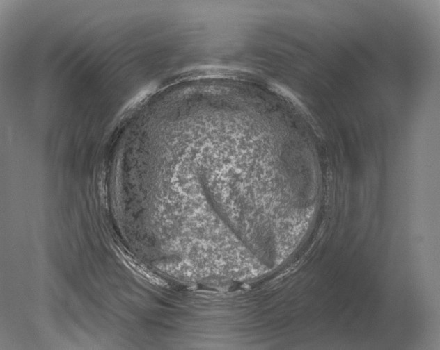 X0000080691403200701051048