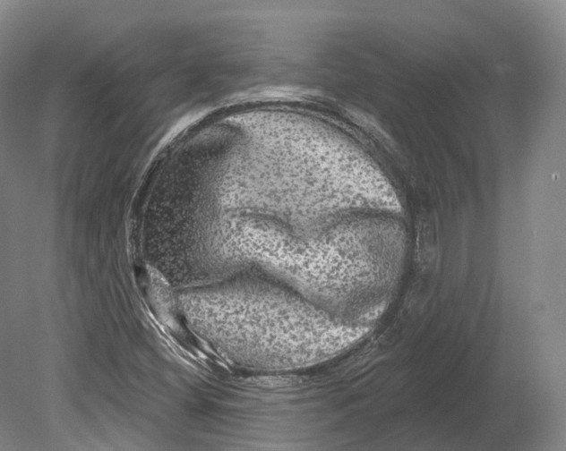 X0000080691404200701051048