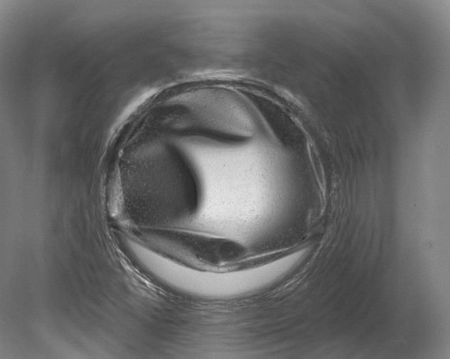 X0000080691406200701051048