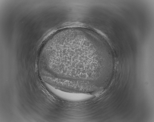 X0000080691407200701051048