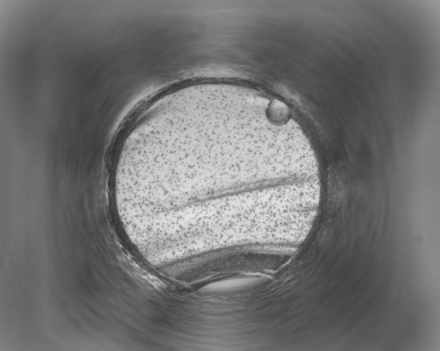 X0000080691408200701051048