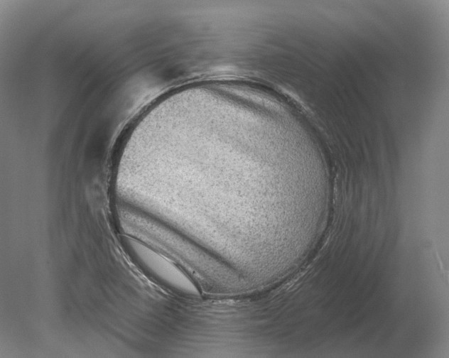 X0000080691410200701051048