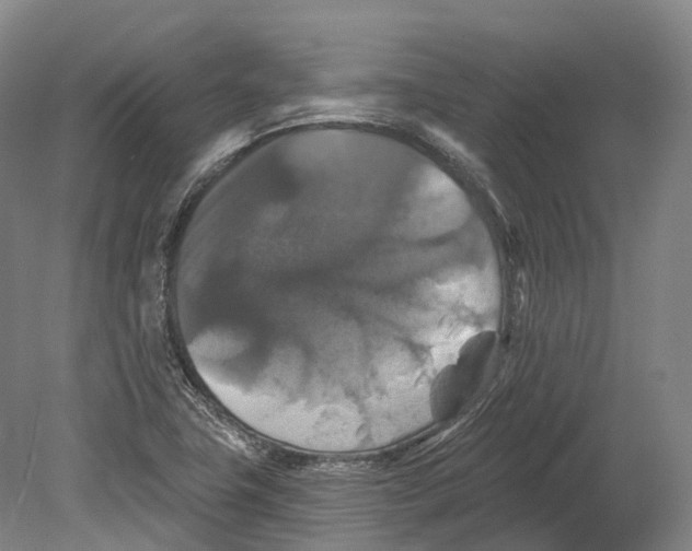 X0000080691411200701051048