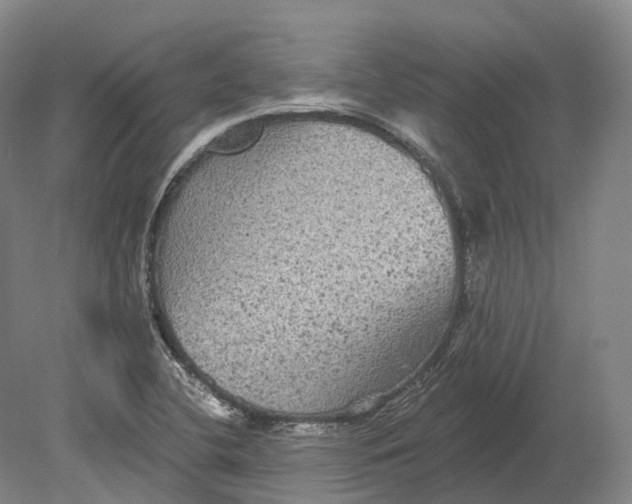 X0000080691412200701051048