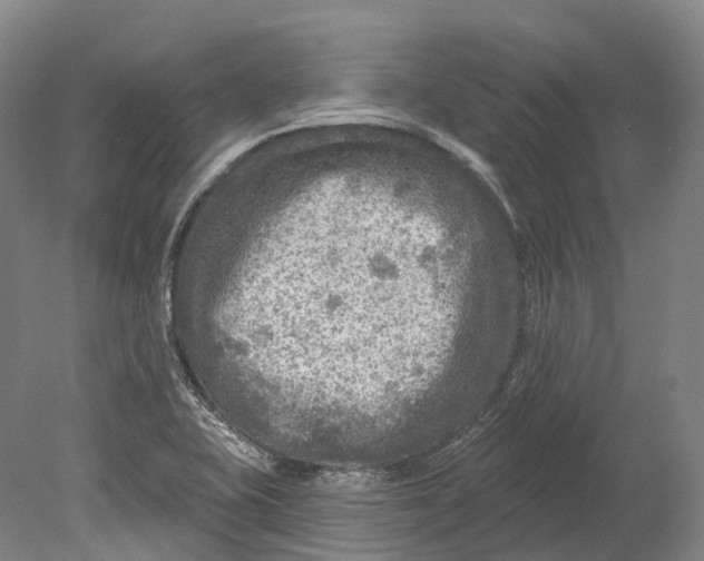 X0000080691415200701051048