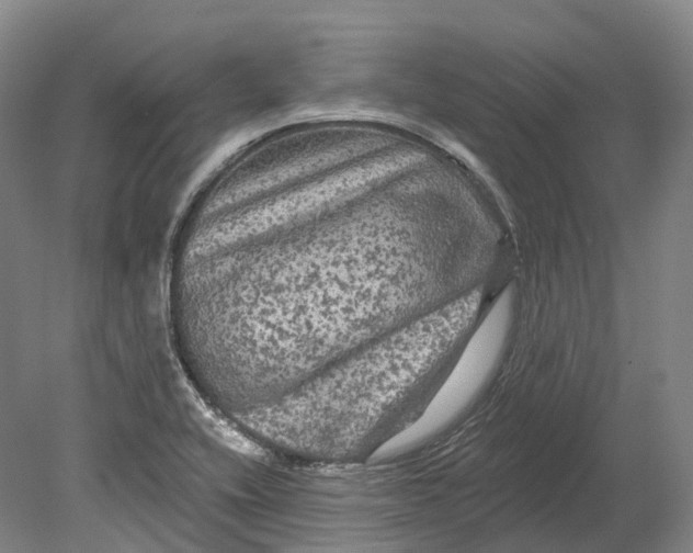 X0000080691416200701051048