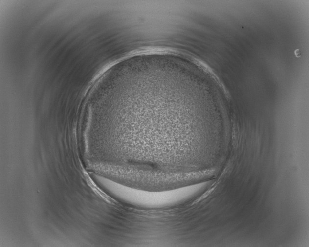 X0000080691417200701051048