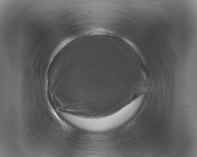 X0000080691418200701051048