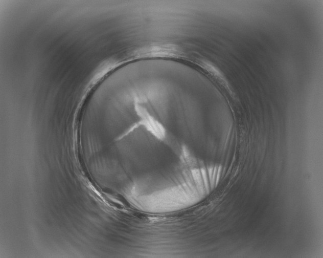 X0000080691419200701051048