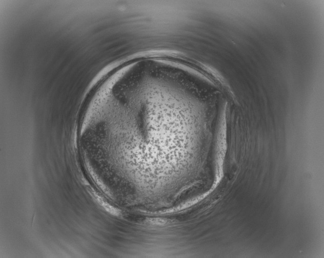 X0000080691420200701051048