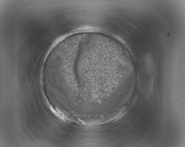 X0000080691421200701051048