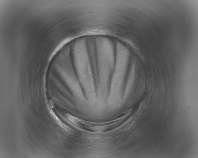 X0000080691422200701051048