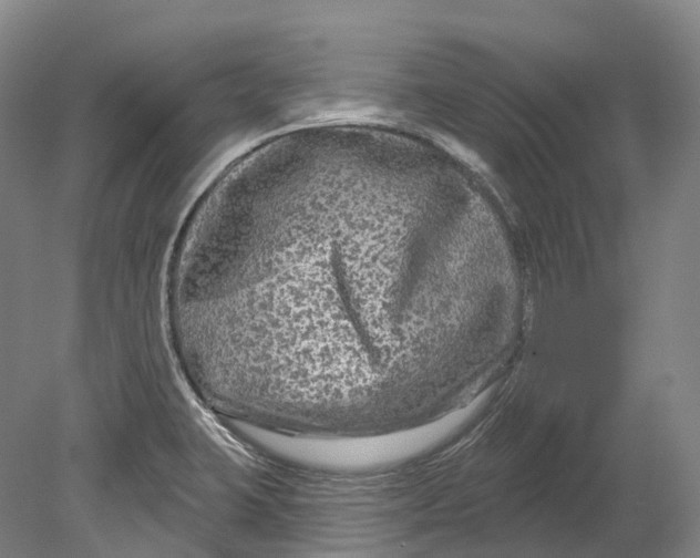 X0000080691423200701051048