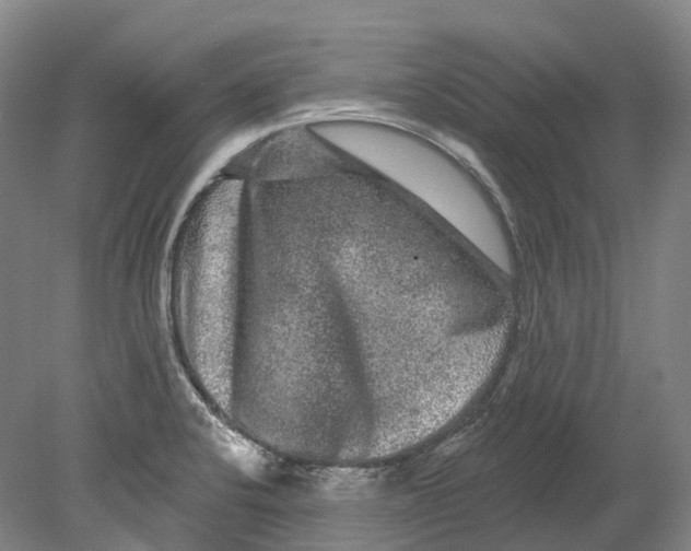 X0000080691424200701051048