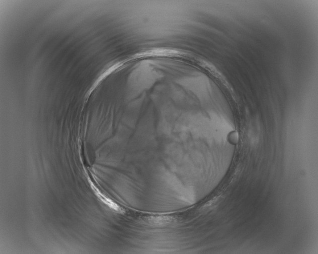 X0000080691425200701051048