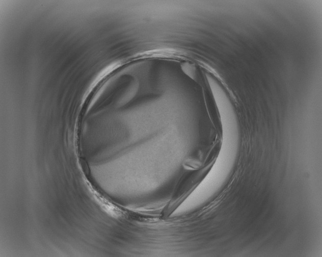 X0000080691426200701051048