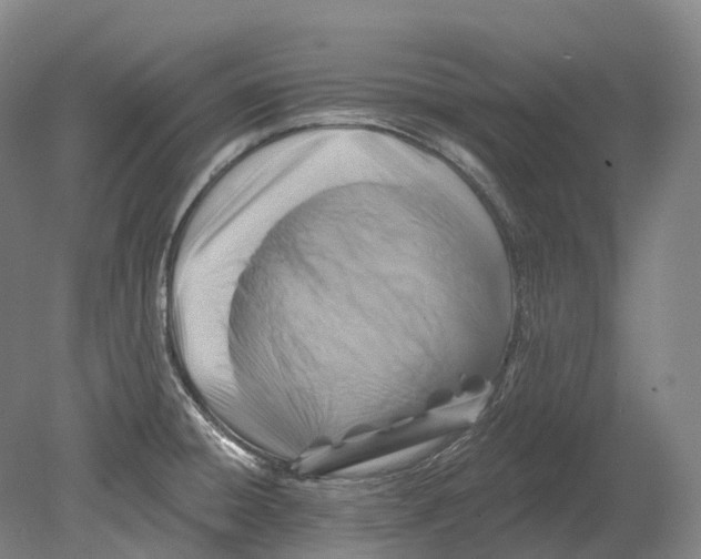 X0000080691428200701051048