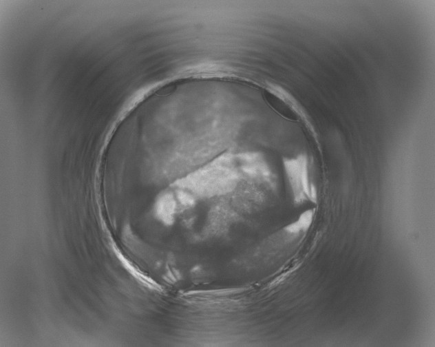 X0000080691429200701051048