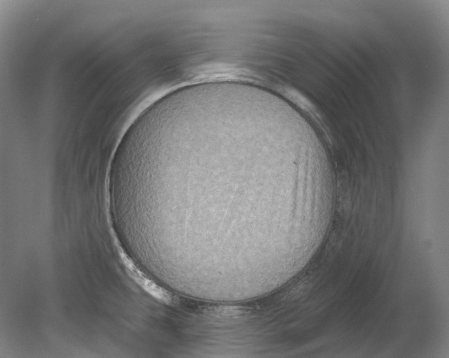 X0000080691431200701051048