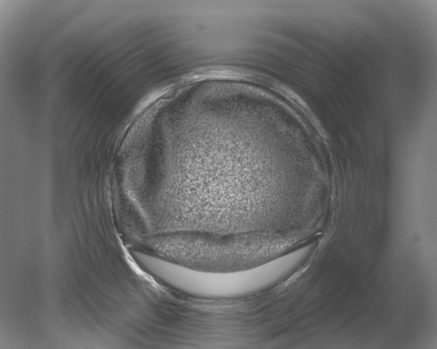 X0000080691433200701051048