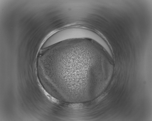 X0000080691434200701051048