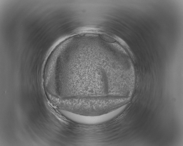 X0000080691435200701051049