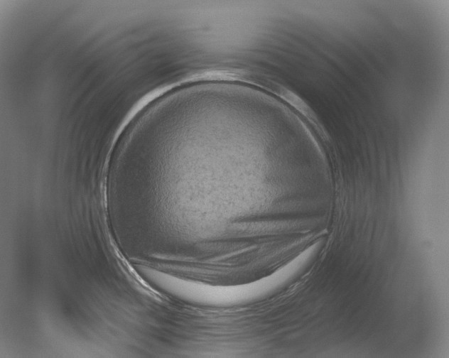 X0000080691436200701051049