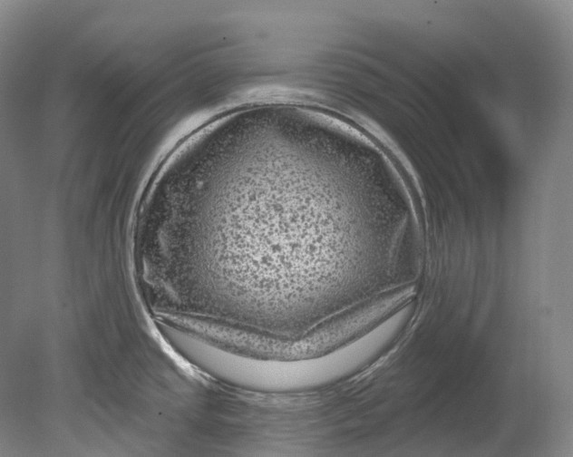 X0000080691437200701051049