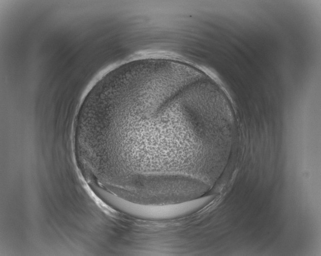 X0000080691438200701051049