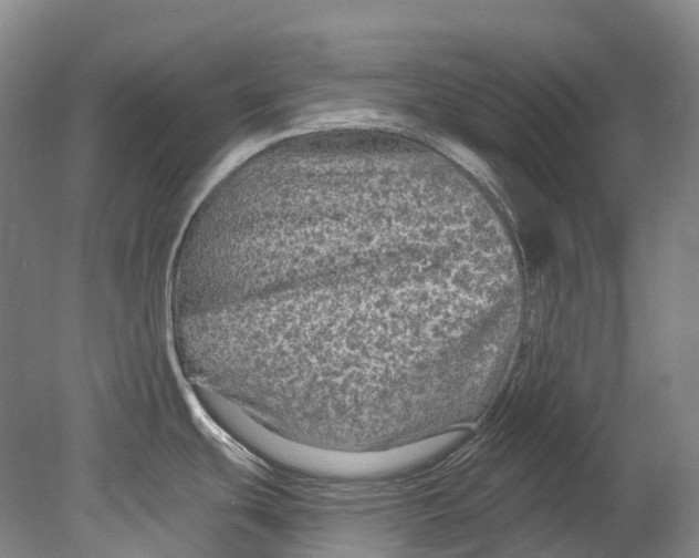 X0000080691439200701051049