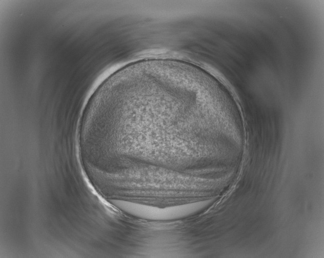 X0000080691440200701051049