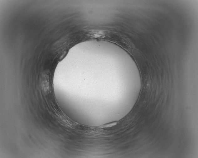 X0000080691442200701051048