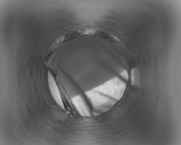 X0000080691443200701051048