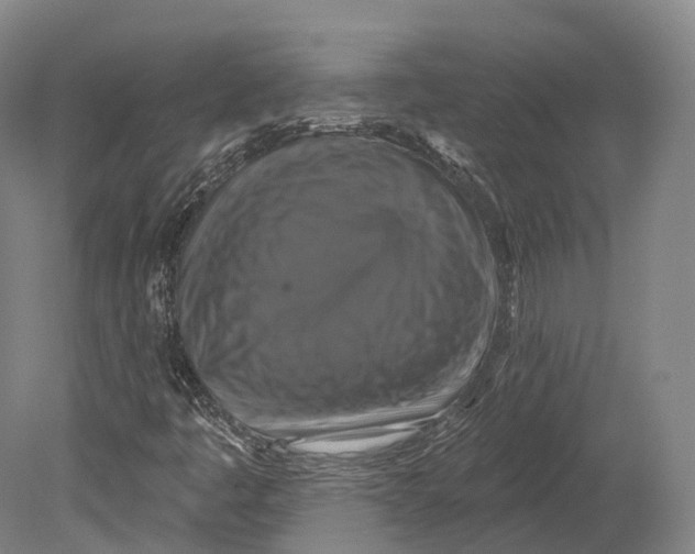 X0000080691445200701051048