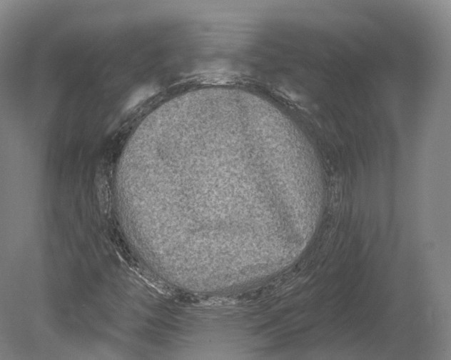 X0000080691446200701051048