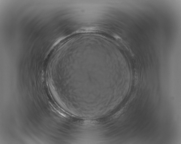 X0000080691449200701051048