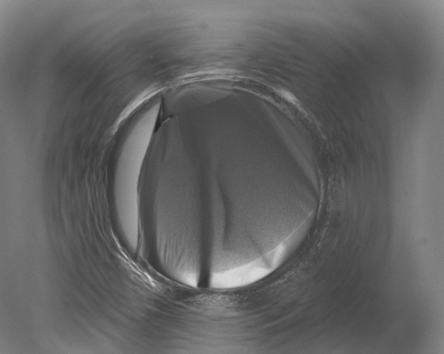 X0000080691450200701051048