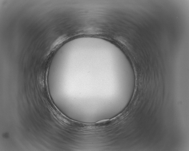 X0000080691451200701051048