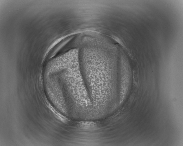 X0000080691452200701051048