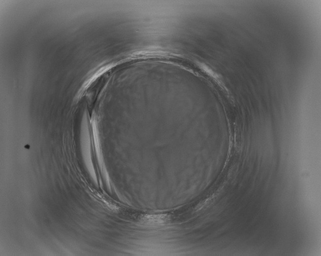 X0000080691453200701051048