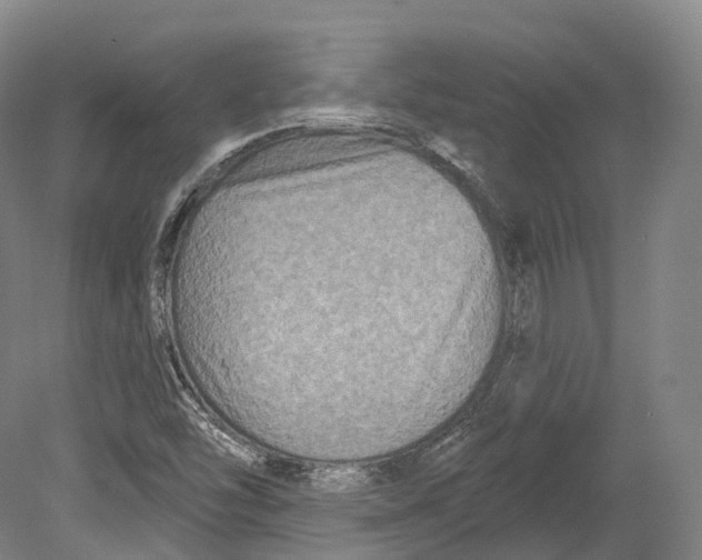 X0000080691454200701051047